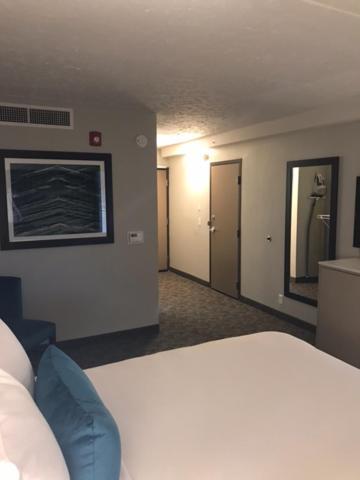 Hotel - Bloomington - By Ihg 3*